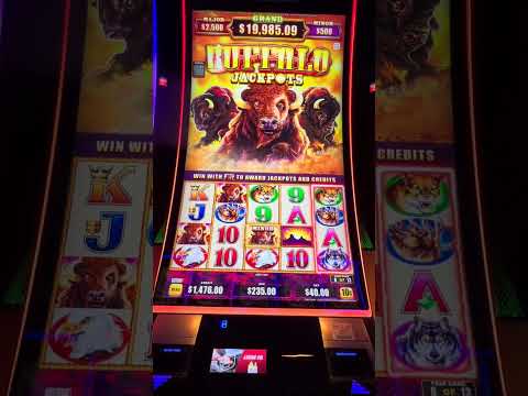 One MASSIVE Spin Shocked Me!!! #slots #casinogame #buffalo
