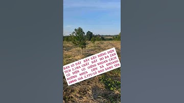 BÁN LÔ ĐẤT RẪY SẦU RIÊNG DT 2,1HA CÁCH ĐƯỜNG NHỰA LIÊN XÃ 300M GIÁ 2,7TỶ/LÔ BAO SỔ LH:0777.68.1368