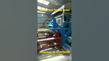 Waste Paper Recycling to Egg Tray Production - Eco-Friendly Process in Action#eggtraymachine