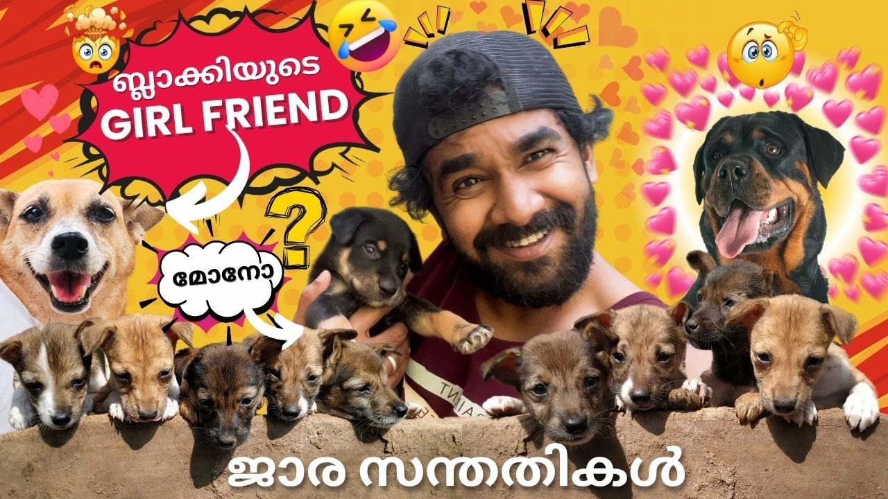 അവിഹിതം പൊക്കി  | ബ്ലാക്കി അച്ഛനായോ? 😱 | ബ്ലാക്കിയുടെ മുഖമുള്ള പട്ടി കുട്ടി.