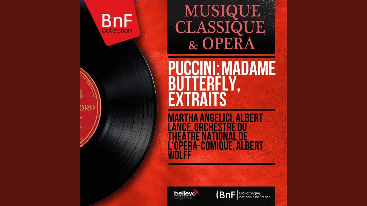 Madame Butterfly, Act II: Un navire de guerre