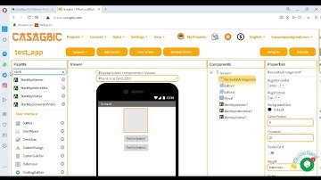 How to use Startapp ads in Casagbic App builder