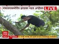 Ravikant Tupkar Activist Protest : मंत्रालयासमोरील  झाडावर चढून तुपकरांच्या कार्यकर्त्यांचं आंदोलन
