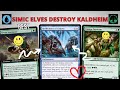 Simic Elves DESTROY Kaldheim Standard! - Reflections of Littjara &amp; Canopy Tactician Combo! MTG Arena