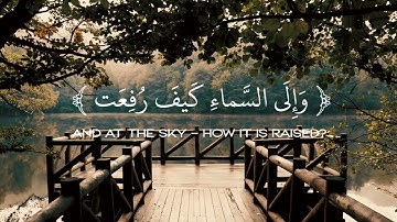 أفلا ينظرون إلى الإبل كيف خلقت☆سورة الغاشية| عبد الرحمن مسعد
