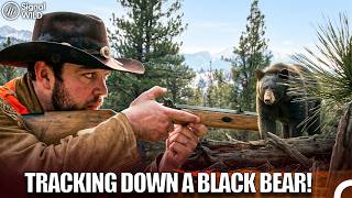 Hunt Showdown! Sasquatch Man Meets Black Bear | Survival Documentary