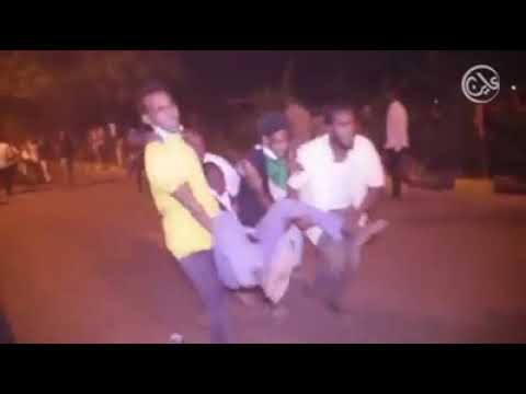 يا يمه كان شفتي