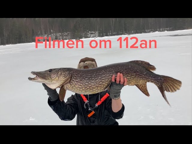 Pelagic Ice Fishing for Pike in Sweden