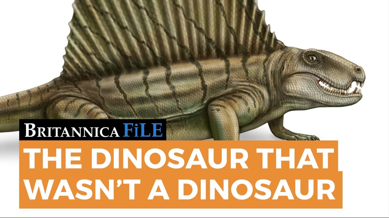 BRITANNICA FILE: The dinosaur that wasn't a dinosaur | Encyclopaedia Britannica