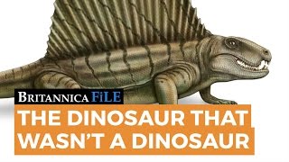 BRITANNICA FILE: The dinosaur that wasn't a dinosaur | Encyclopaedia Britannica
