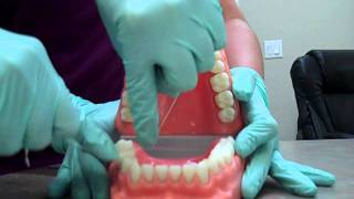 C-Shaped Flossing With Jill and Kirsten! Wealth