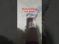 Mayikusai Harusi Kwa Shimbi 