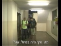 פטל נו ש 8 פטל נו ש 8