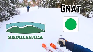 Skiing Saddleback Maine: Gnat (1/68)