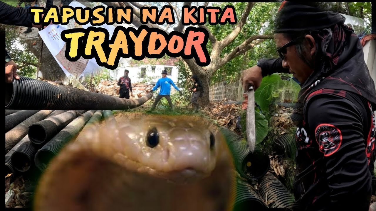 PAG NAG TIWALA KA TODAS KA, TRAYDOR YAN ULUPONG  #tolcobra #cobraking #cobraprince #cristurkz