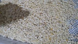Frozening Corn Colour Sorter Machine High Sorting Accuracy and Efficiency