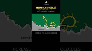 The Origin of Life: Metabolic Fossils