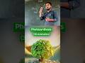 photosynthesis with 3D animation #facts #sciencefacts #education #shortfeed