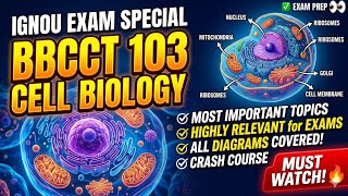 BBCCT 103✨ (Cell Biology) One Shot most important topics ✅🎯🔥