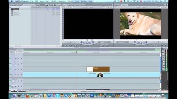 Using Digital Hotcakes 101 Transitions in Final Cut