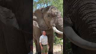 Mak Is Such A Gentle Giant And An Incredibly Intelligent Animal