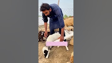 Muốn giàu ĐỪNG VỘI NGHĨ CÁCH KIỀM TIỀN #trietlysong #baihoccuocsong