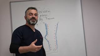 En iyi  Lipodem tedavisi nasıl yapılır?  Prof. Dr. Ahmet AKGUL