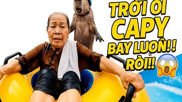 Bà và Capybara -  Đi chơi công viên nước và cái kết không ngờ!
