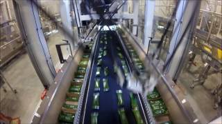 Delta Robot High Speed Picking Dual Side Bar Packing