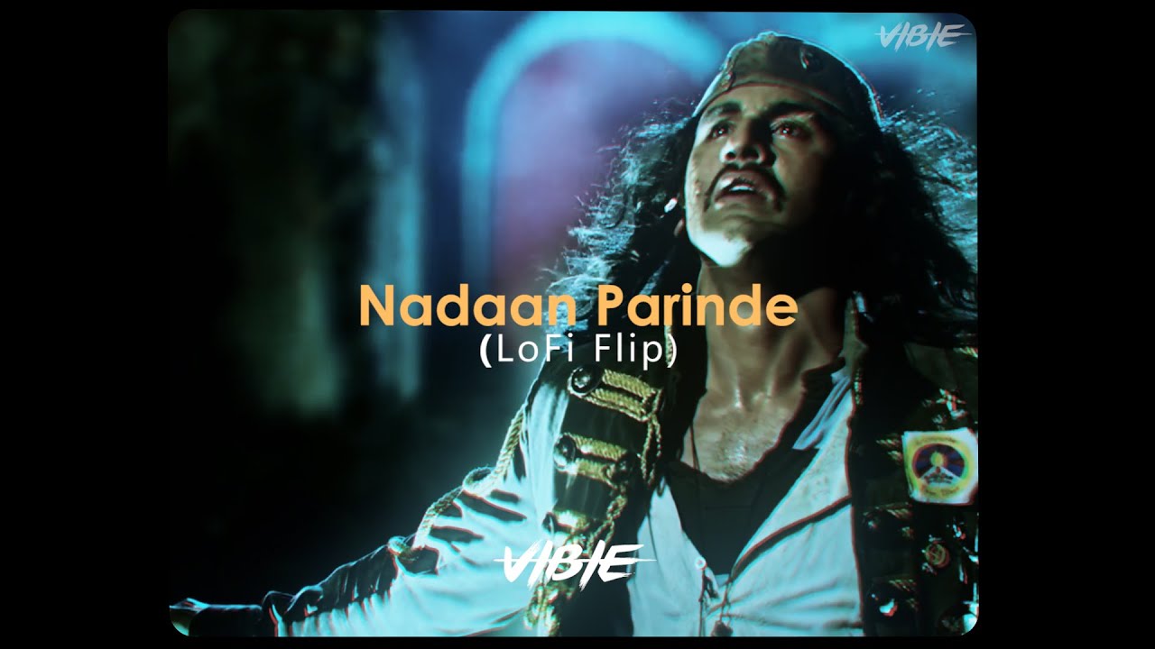 Nadaan Parindey  (Lofi Flip) - VIBIE | Mohit Chauhan | A.R Rahman