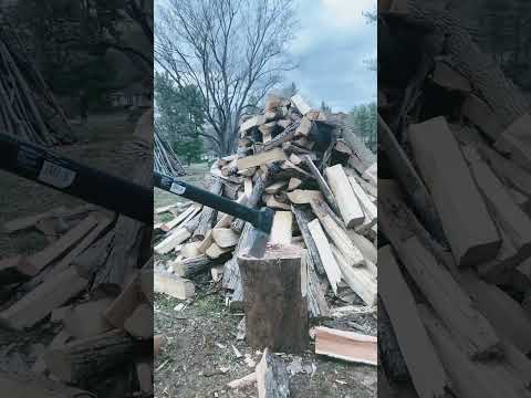 Cherry Tree Wood Splits Like Butter!
