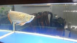 20150705 114520