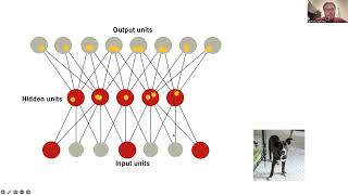 Cognitive Science: Lecture 8.3: ANNs overview