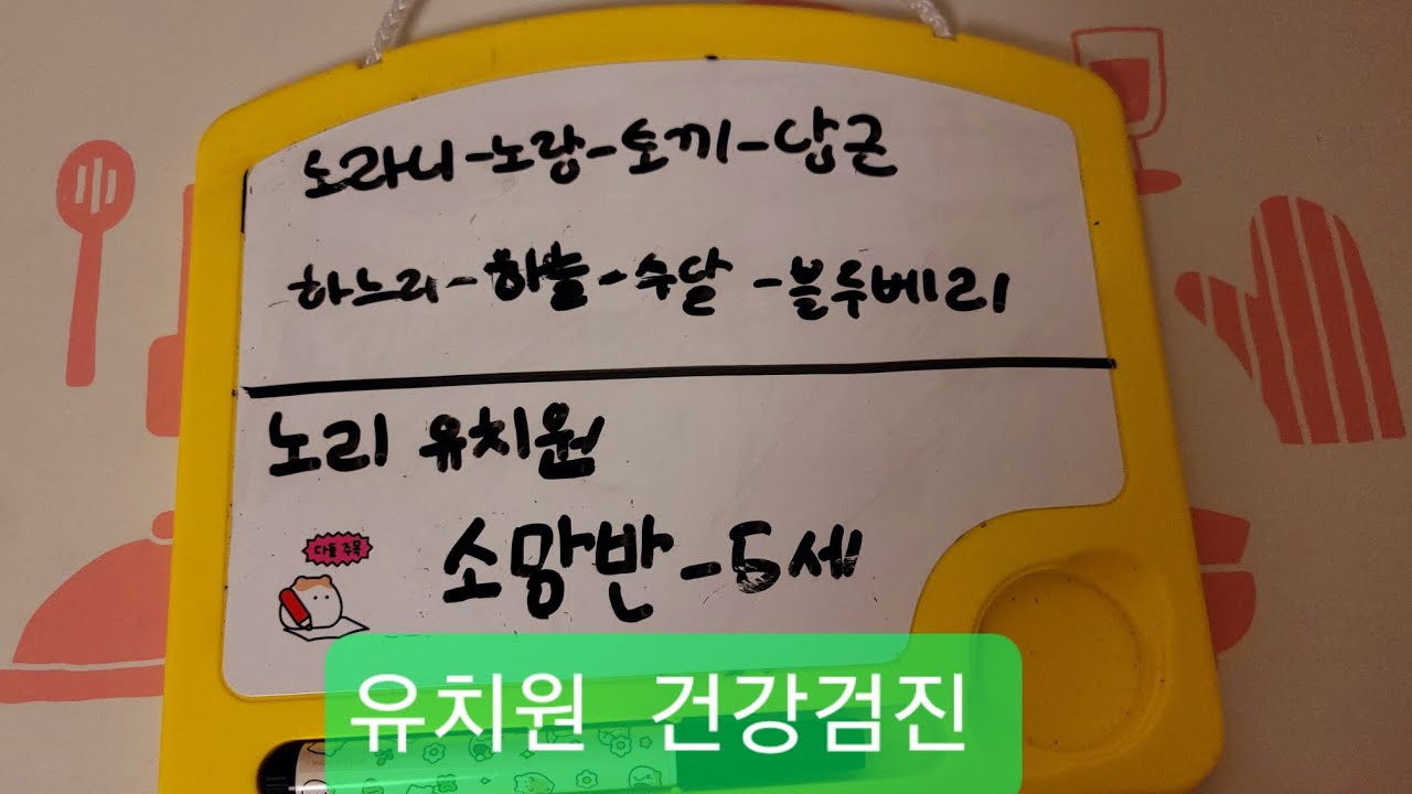 유치원/건강검진/노리/노라니/인형계