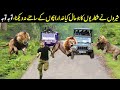 Lion Vs Men | شیروں سے پنگا لینا مہنگا پڑ گیا ویڈیو وائرل - Planet Earth