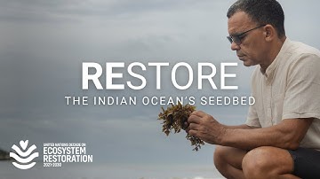 How four East African countries are reviving their coasts