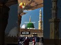 AloNe GiRl #statusvideo  I ❤️ #Aaqaﷺ