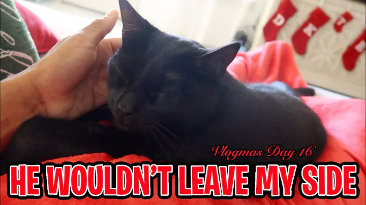 HE WOULDN'T LEAVE MY SIDE - DAY 16 VLOGMAS