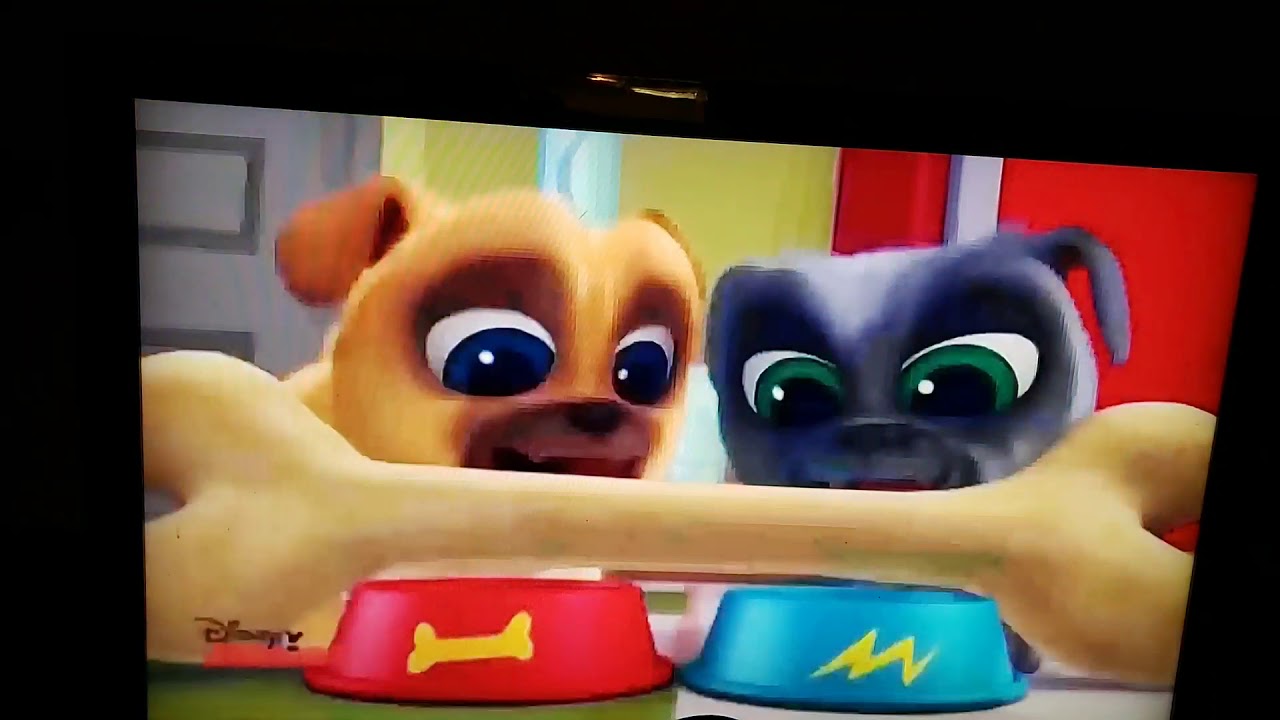 Puppy dog pals intro turkish on Disney junior - YouTube