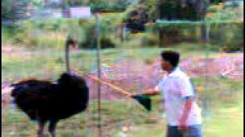 C:\Documents and Settings\Administrador\Escritorio\Mandilones de temixco.3gp