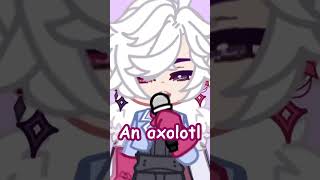Axolotl 🎤