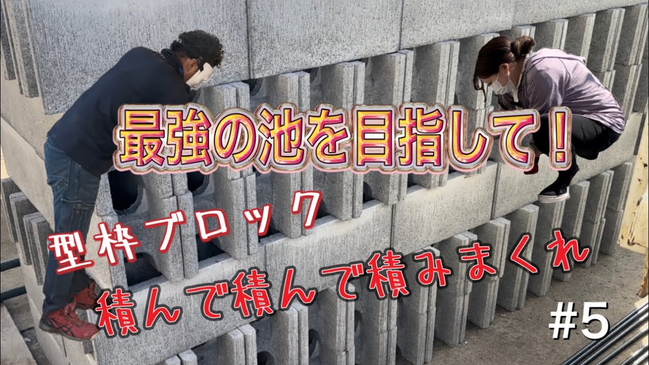 【DIY池】#5 最強の池を目指して！型枠ブロック積んで積んで積みまくれ！＃池作り#diy #アクアリウム