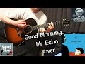 Good morning, mr echo   細野晴臣、コシミハル(越美晴) 1996年《swing slow》 cover with Gibson 1943年j45vintage guitar