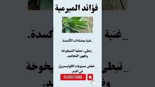 فؤائد الميرمية shortsvideo @samirasmadi تغذيه_علاجية معلومات_ثقافية معلومات_عامة