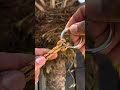 Do this and see how easy it is to pass a rope over the tree. #CaliGarage #RopeTechnique #EasyPass