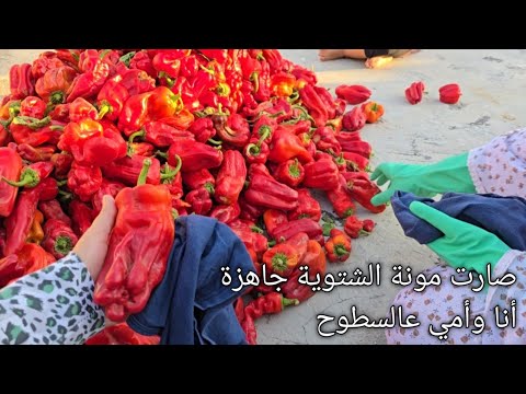 واخيرا خلصنا من المونة دبس الفليفلة عالسطوح مع أمي أماني السورية