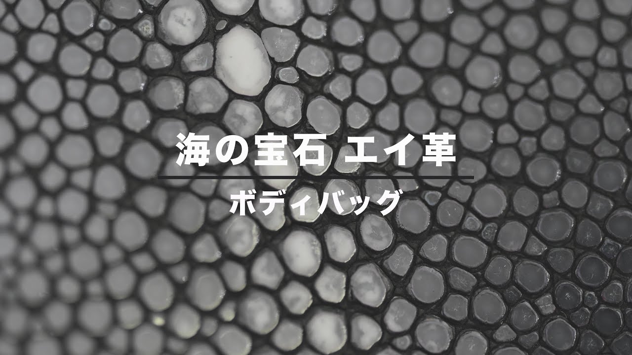 ボディバッグ】この輝きは凄い！エイ革を使った注目間違い無しのボディ 