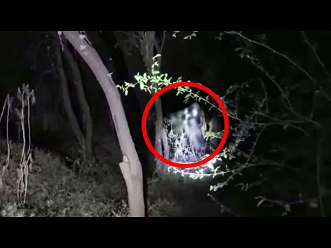 Claim Your Daily Free Spins at Pin-Up Casino: Play Online in English, Tailored for India