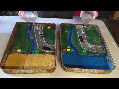 How Wetlands Work