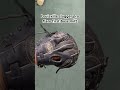 Louisville slugger pro flare first base mitt